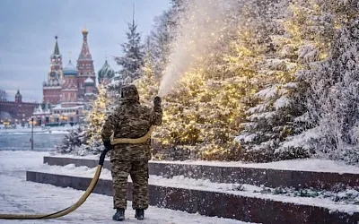 В Москве деревья снова делают «зимними» вручную