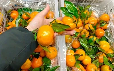В Новосибирске мужчина пять раз пытался украсть мандарин в супермаркете