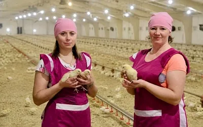 В Белоруссии продают базу отдыха Бабий Мох