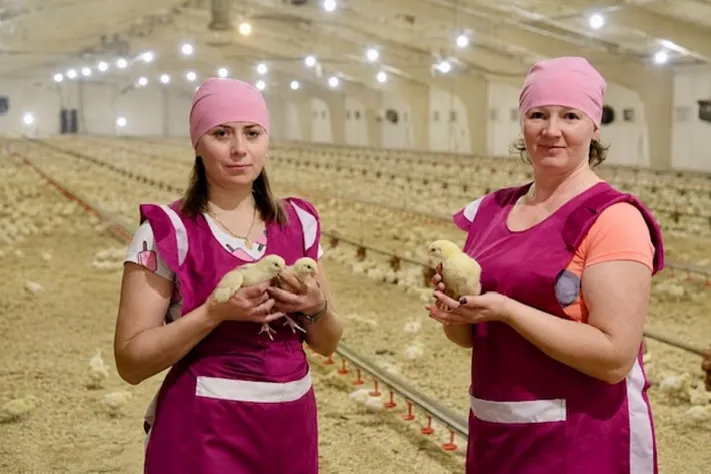 В Беларуси продают базу отдыха Бабий Мох