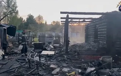 В Подмосковье в пожаре погибли двое малышей