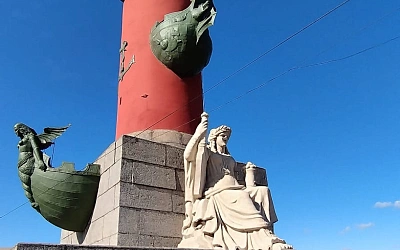 В Петербурге ищут способ защитить памятники от птичьего помёта