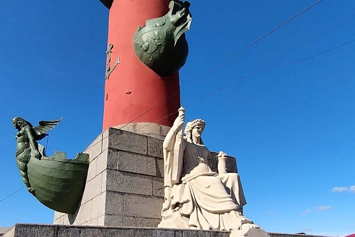 В Петербурге ищут способ защитить памятники от птичьего помёта