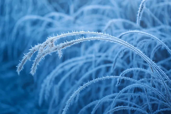 Последний тёплый вечер перед минусом