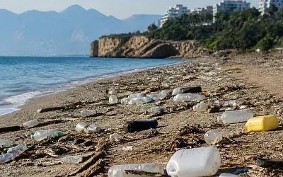 Тонны мусора заполонили пляжи Аланьи и других курортов Турции
