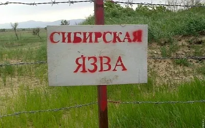В Казахстане из-за паводков вскрылись захоронения с сибирской язвой 