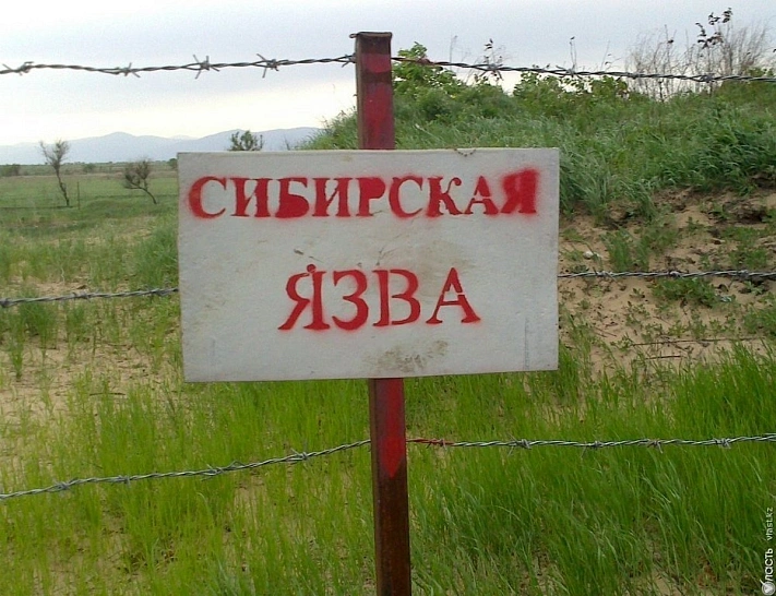 В Казахстане из-за паводков вскрылись захоронения с сибирской язвой 