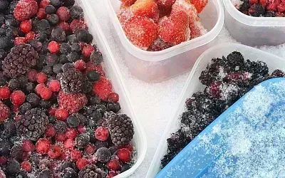 Как сохранить фрукты на зиму