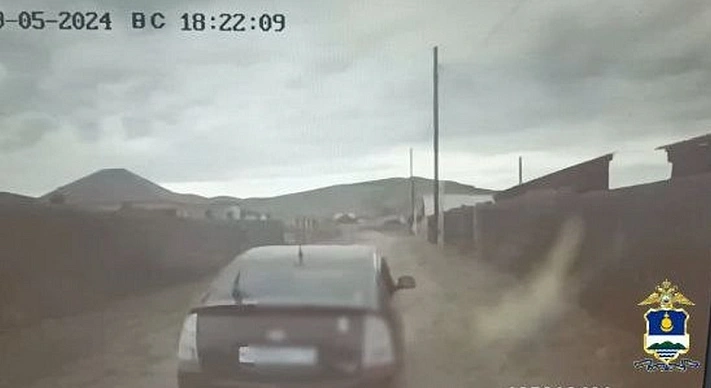 В российском регионе полицейские поймали ребёнка за рулём