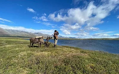 Арктика бьёт туристические рекорды