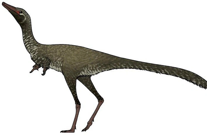 Российские учёные открыли новый вид динозавра