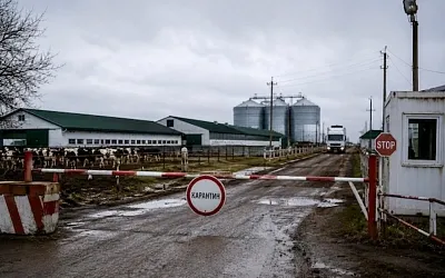 В Кузбассе усилили режим на агрокомплексе Ваганово