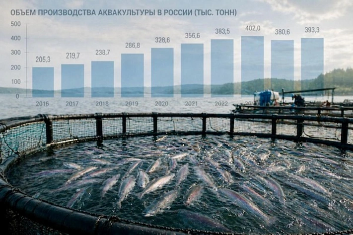 Аквакультура может просесть из-за болезней рыбы