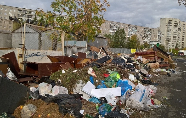 В Свердловской области мусорного оператора лишили статуса