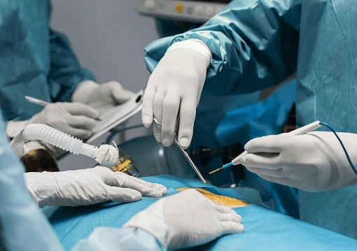 У поступившей на роды женщины врачи удалили 40 опухолей