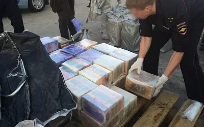 Более 600 кг кокаина из Латинской Америки обнаружили в Санкт-Петербурге