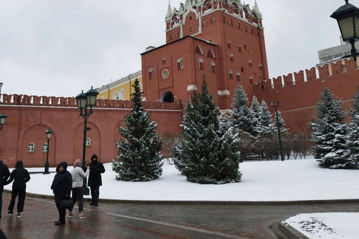Как пережить апрельские морозы без болезней