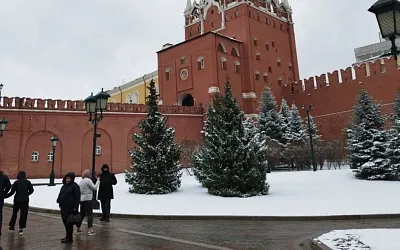 Как пережить апрельские морозы без болезней