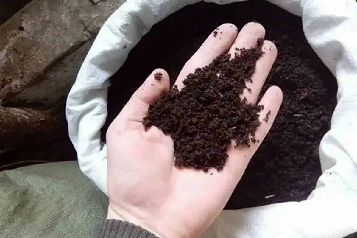 За что садоводы так ценят биогумус 