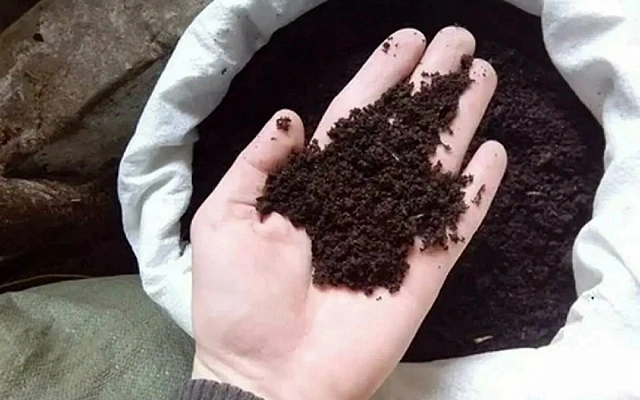 За что садоводы так ценят биогумус 