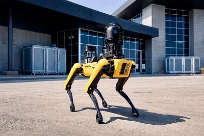 робособаки выходят на охрану дата-центров