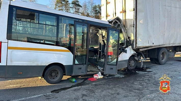 15 пассажиров автобуса пострадали в ДТП в Подмосковье