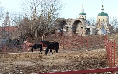 Москву и Подмосковье ждут ещё две недели аномального тепла