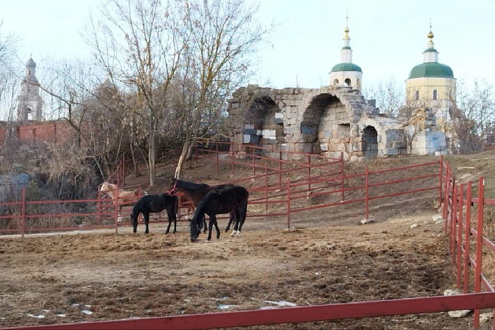 Москву и Подмосковье ждут ещё две недели аномального тепла
