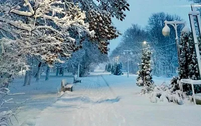 Ленобласть накрыли метровые сугробы после ночного снегопада