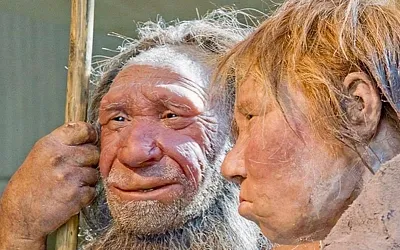 Миллионолетний череп из Юньсяня меняет картину происхождения Homo