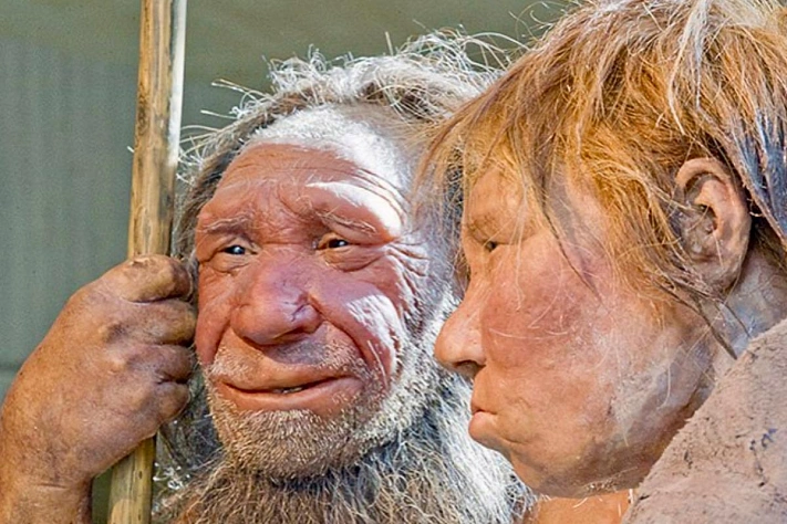 Миллионолетний череп из Юньсяня меняет картину происхождения Homo