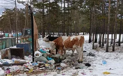 На Ольхоне построят закрытую площадку для мусора 