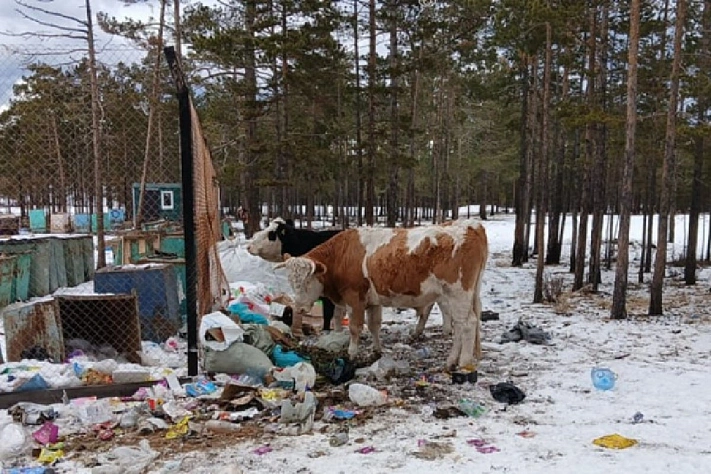 На Ольхоне построят закрытую площадку для мусора 