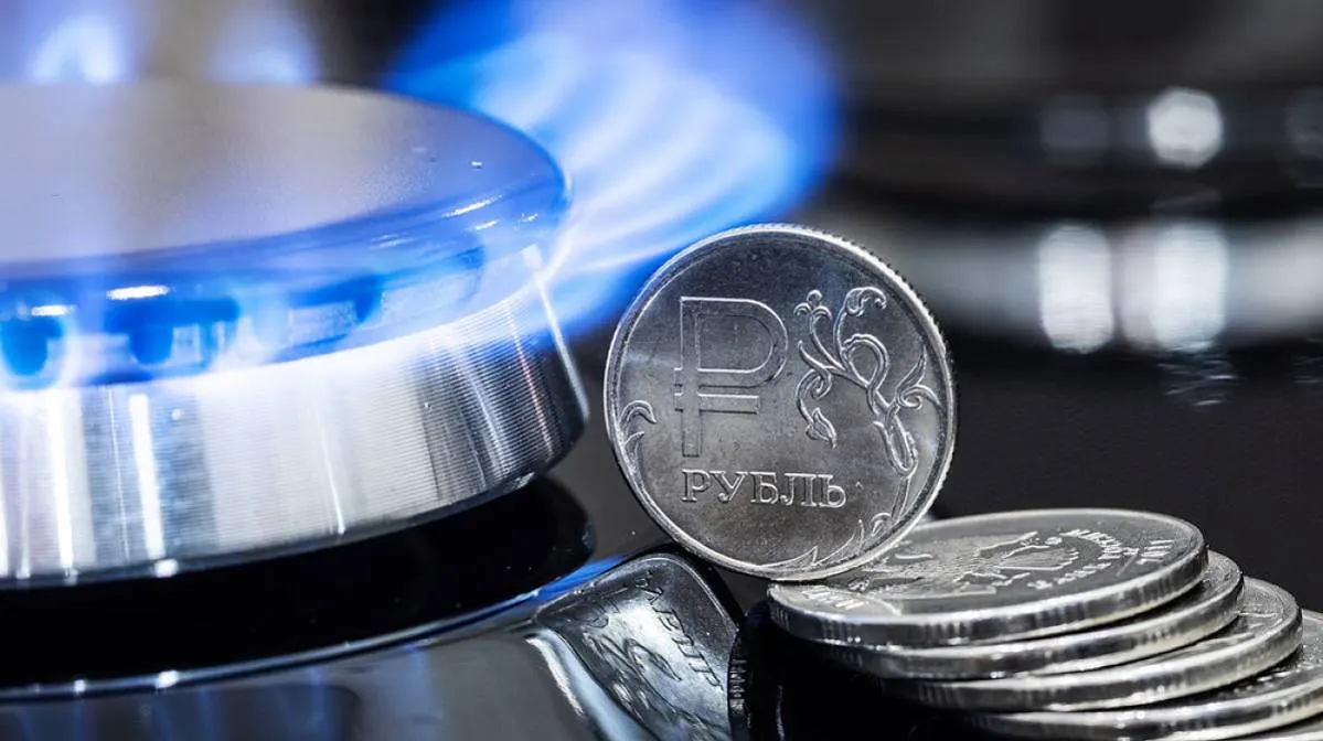 В Подмосковье подорожал газ