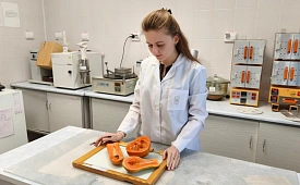 Сочинская папайя прошла лабораторные испытания и признана полноценной
