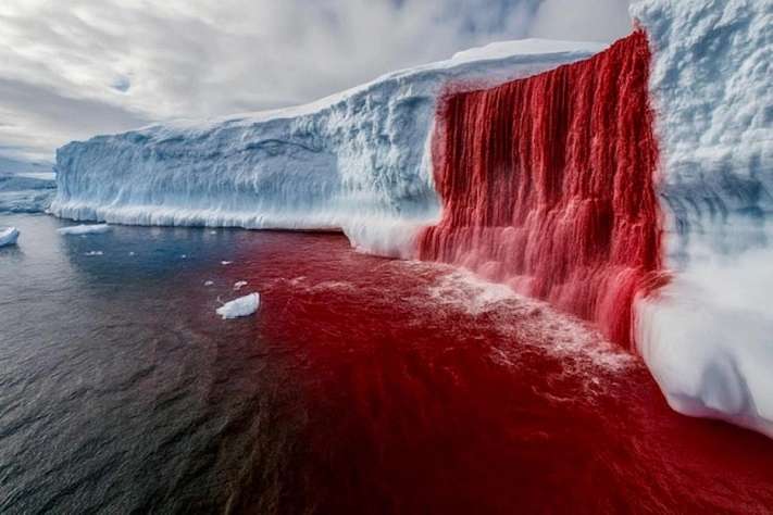 Кровавый водопад Антарктиды скрывал загадку больше века