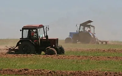 Курская и Белгородская области подсчитывают ущерб агропромышленного сектора
