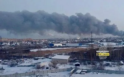 Пожар в Новосибирском зоопарке: спасали животных из вольеров
