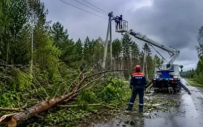 Более 14 тысяч жителей Новгородской области остались без света
