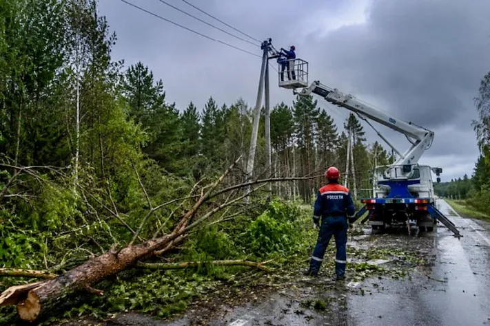 Более 14 тысяч жителей Новгородской области остались без света