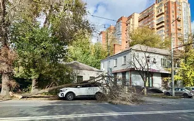 Штормовой ветер в Ростовской области