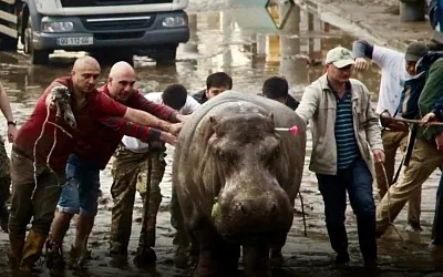 Наводнение в Тбилиси в июне 2015 года: трагедия, изменившая город