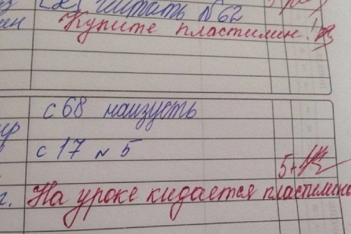 Оценки за поведение введут во всех школах России