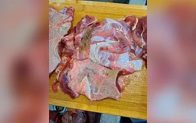 В Красноярском крае детей в саду кормили мясом с кишечной палочкой