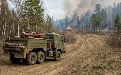 Регионам напомнили, что леса тушат самостоятельно