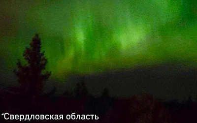  Полярное сияние в России: очевидцы делятся кадрами уникального явления