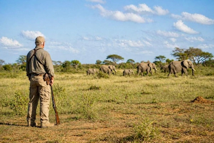 Миллионер-охотник погиб в Габоне после атаки слонов