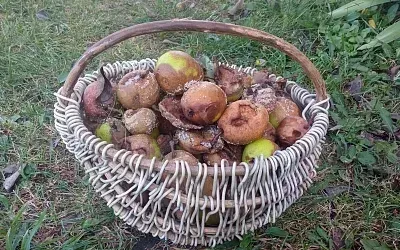 Как подготовить дачу к зиме, чтобы она радовала весной?
