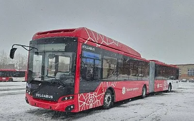 В Пермь приехали первые автобусы-«гармошки»