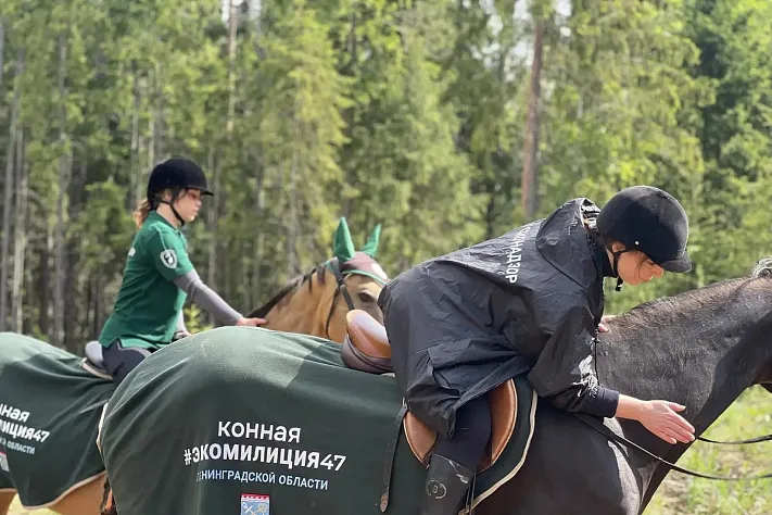 Конная экомилиция приступила к патрулированию лесов Гатчины